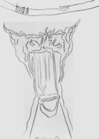 1981_1990\1981.1781.b.jpg; 1981.1781; ;